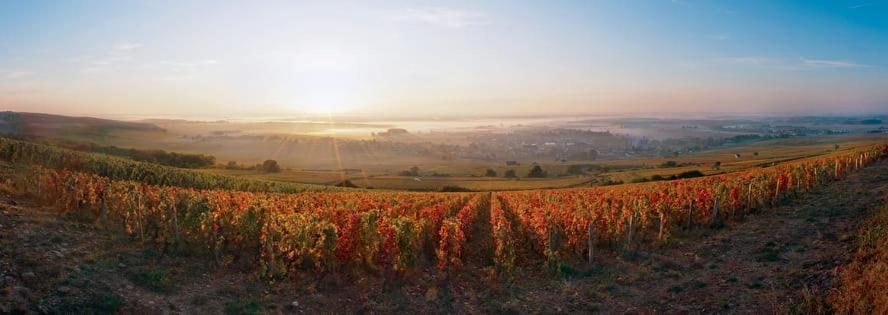 Logis Hotel L'Escargotiere Dijon Sud - Chenôve Eksteriør billede